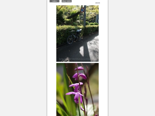 2023/hare2023apr5 screenshot