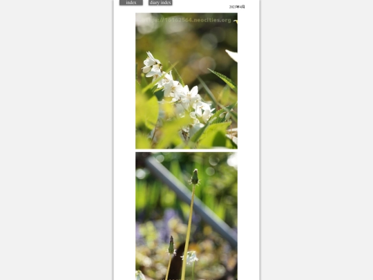 2023/hare2023apr7 screenshot