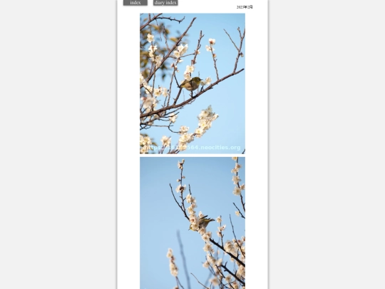 2023/hare2023feb7 screenshot