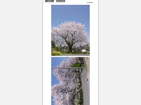 2023/saku2023apr55 screenshot