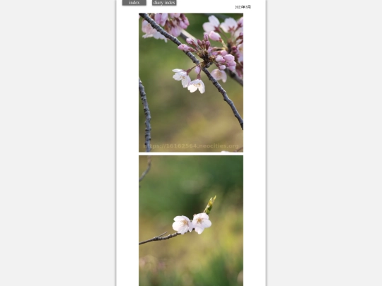 2023/saku2023mar1 screenshot