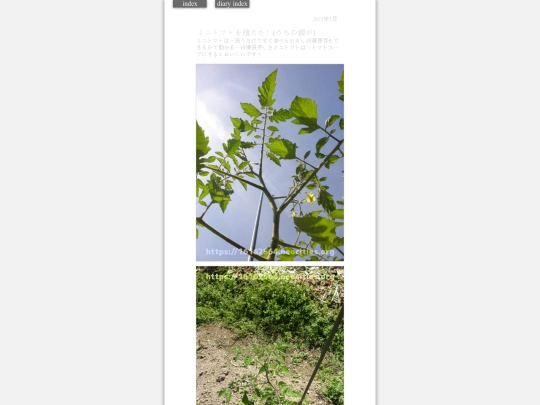 2023/tomato2023may1 screenshot