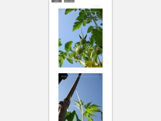 2023/tomato2023may2 screenshot