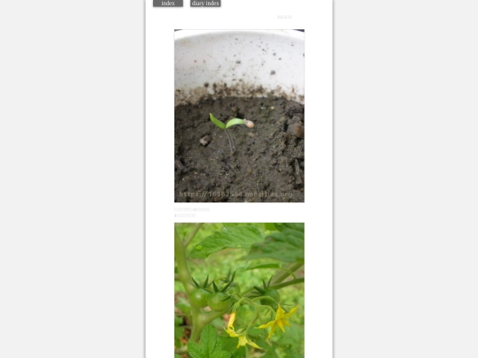 2023/tomatoTane2023may2 screenshot