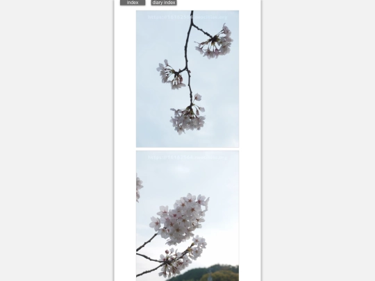 2024/blog2024apr8 screenshot