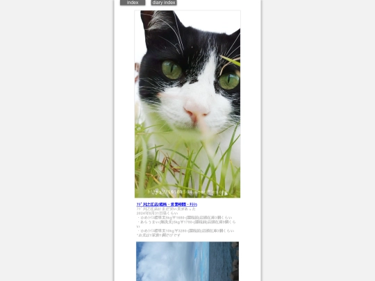 2024/blog2024aug31 screenshot