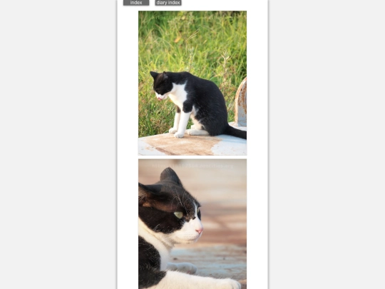 2024/blog2024aug4 screenshot