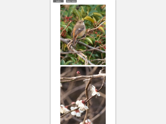 2024/blog2024feb11 screenshot