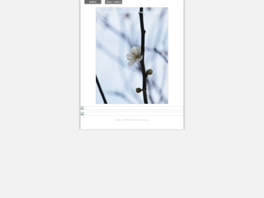 2024/blog2024feb24 screenshot
