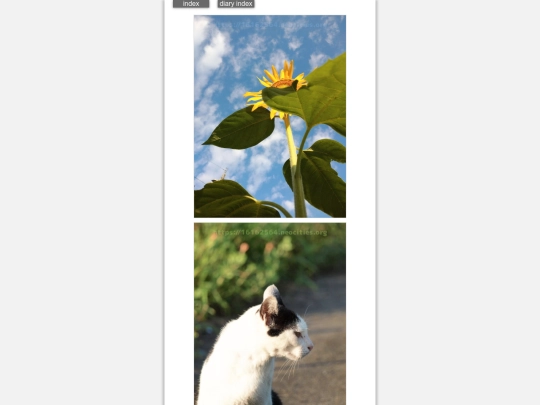 2024/blog2024jul21 screenshot