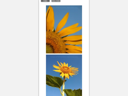 2024/blog2024jul28 screenshot