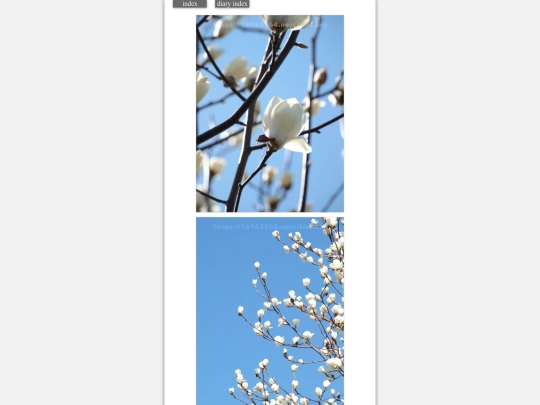2024/blog2024mar13h screenshot