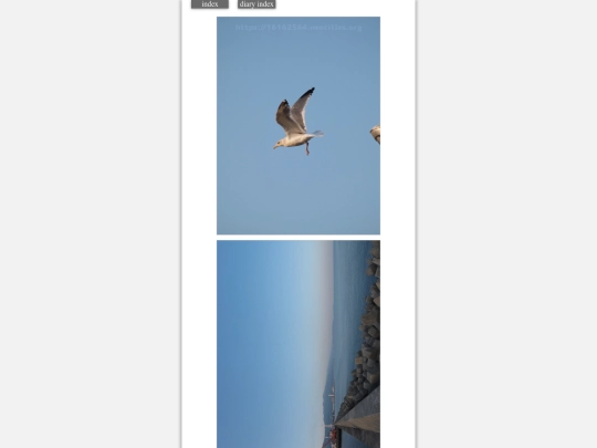 2024/blog2024mar16 screenshot