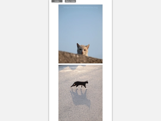 2024/blog2024mar31 screenshot