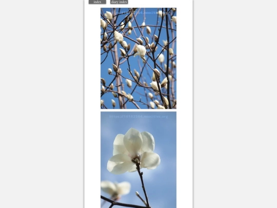 2024/blog2024mar9 screenshot