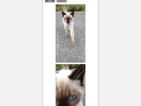2024/blog2024nov16 screenshot