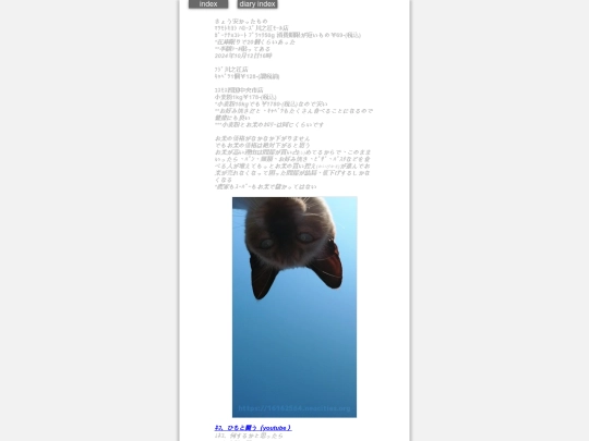 2024/blog2024oct12 screenshot