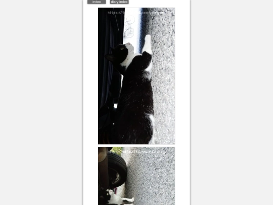 2024/blog2024sep1 screenshot