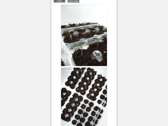 2024/hadaikon2024apr1 screenshot