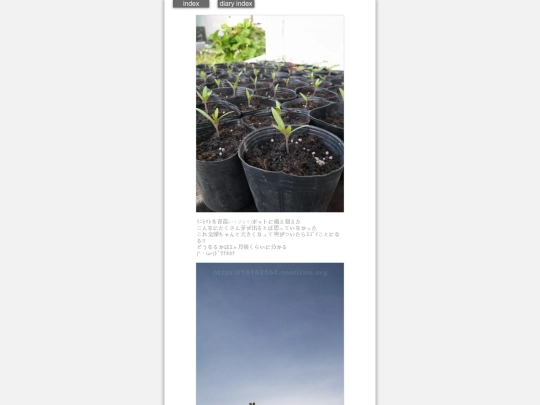 2024/hadaikon2024apr11 screenshot