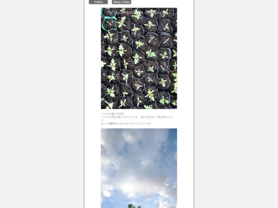 2024/hadaikon2024apr16 screenshot