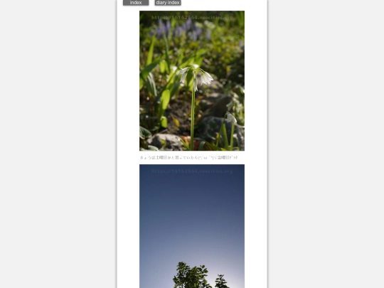 2024/hadaikon2024apr19 screenshot