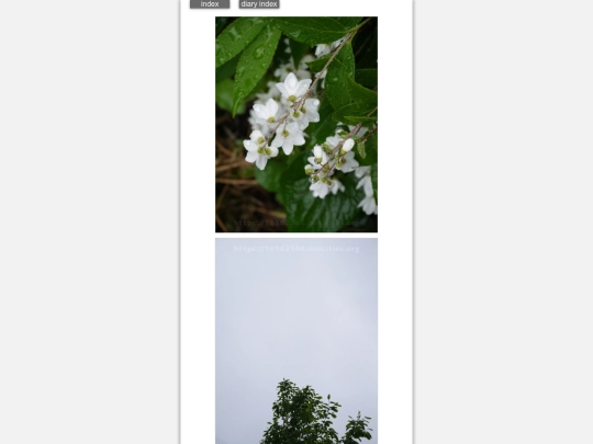 2024/hadaikon2024apr22 screenshot