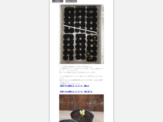 2024/hadaikon2024apr23 screenshot