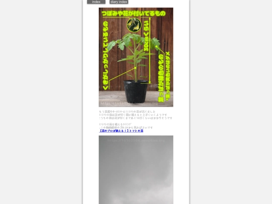 2024/hadaikon2024apr24 screenshot