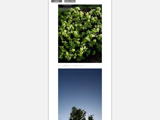 2024/hadaikon2024apr25 screenshot