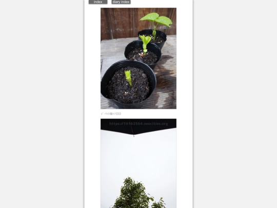 2024/hadaikon2024apr30 screenshot