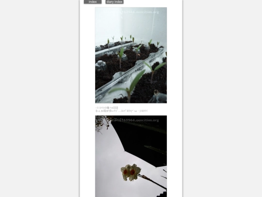 2024/hadaikon2024apr4 screenshot