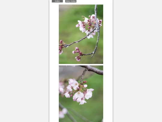 2024/hadaikon2024apr5 screenshot