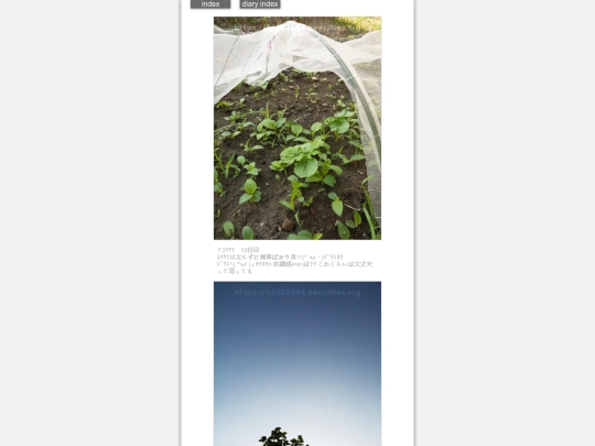 2024/hadaikon2024aug12 screenshot