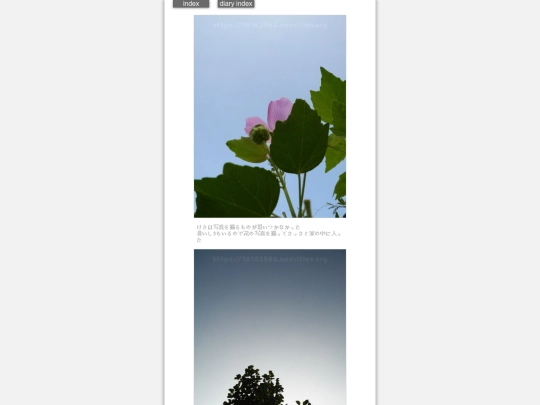 2024/hadaikon2024aug15 screenshot