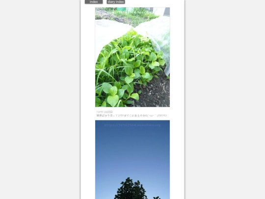 2024/hadaikon2024aug22 screenshot