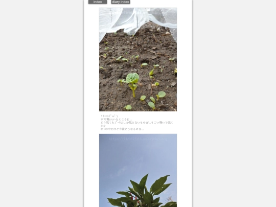 2024/hadaikon2024aug6 screenshot