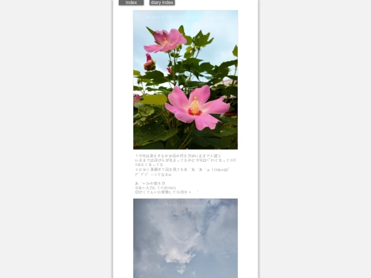 2024/hadaikon2024aug7 screenshot