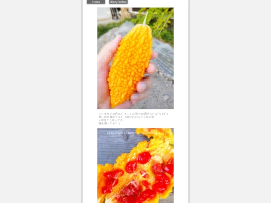 2024/hadaikon2024aug9 screenshot