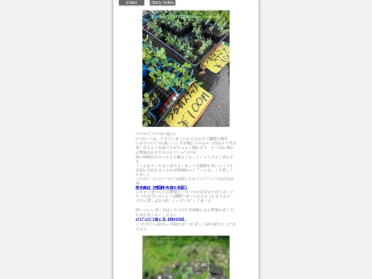 2024/hadaikon2024dec2 screenshot