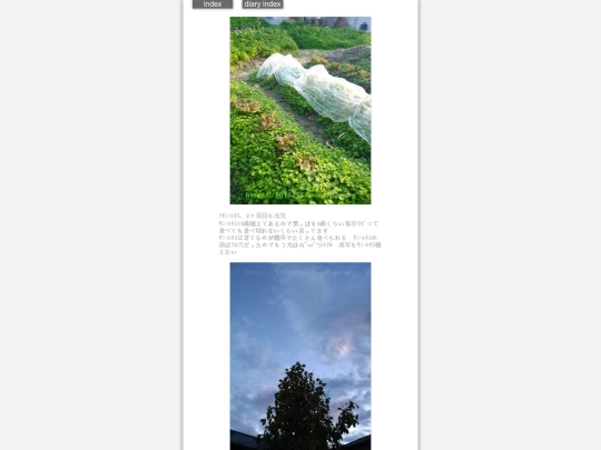 2024/hadaikon2024dec4 screenshot