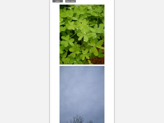 2024/hadaikon2024feb1 screenshot