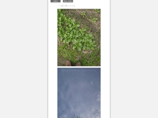 2024/hadaikon2024feb15 screenshot