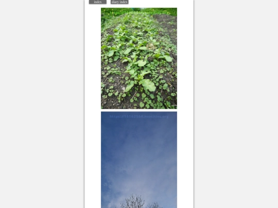 2024/hadaikon2024feb2 screenshot