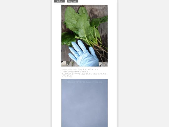 2024/hadaikon2024feb22 screenshot