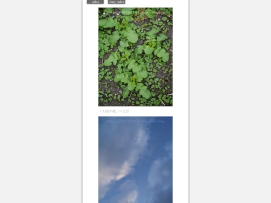 2024/hadaikon2024feb6 screenshot