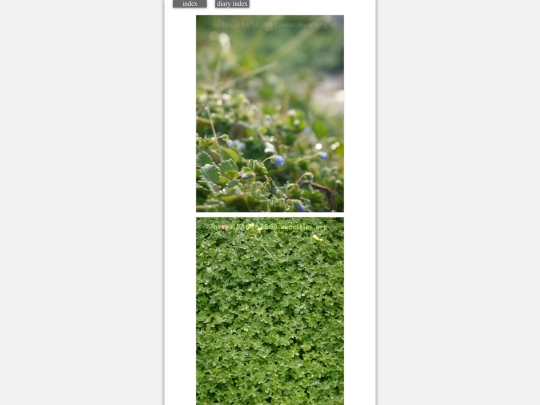 2024/hadaikon2024feb8 screenshot
