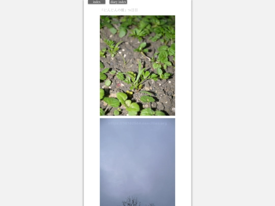 2024/hadaikon2024jan10 screenshot