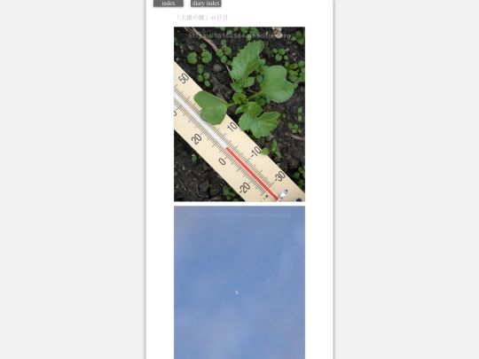 2024/hadaikon2024jan11 screenshot