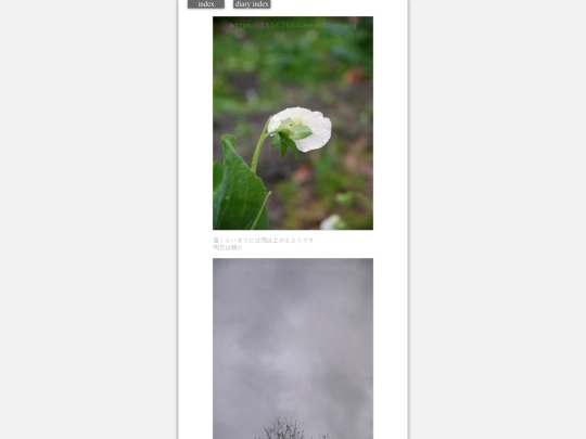 2024/hadaikon2024jan15 screenshot